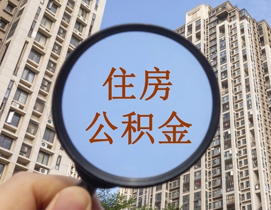 海安退休后查不到公积金明细了吗（退休后公积金查询不到原因）